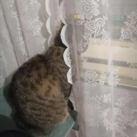 Blessing Bedroom